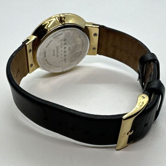 Skagen SKW2124 Women\'s Black Leather Strap Analog Dial Quartz Wrist Watch JNA578 main image 4